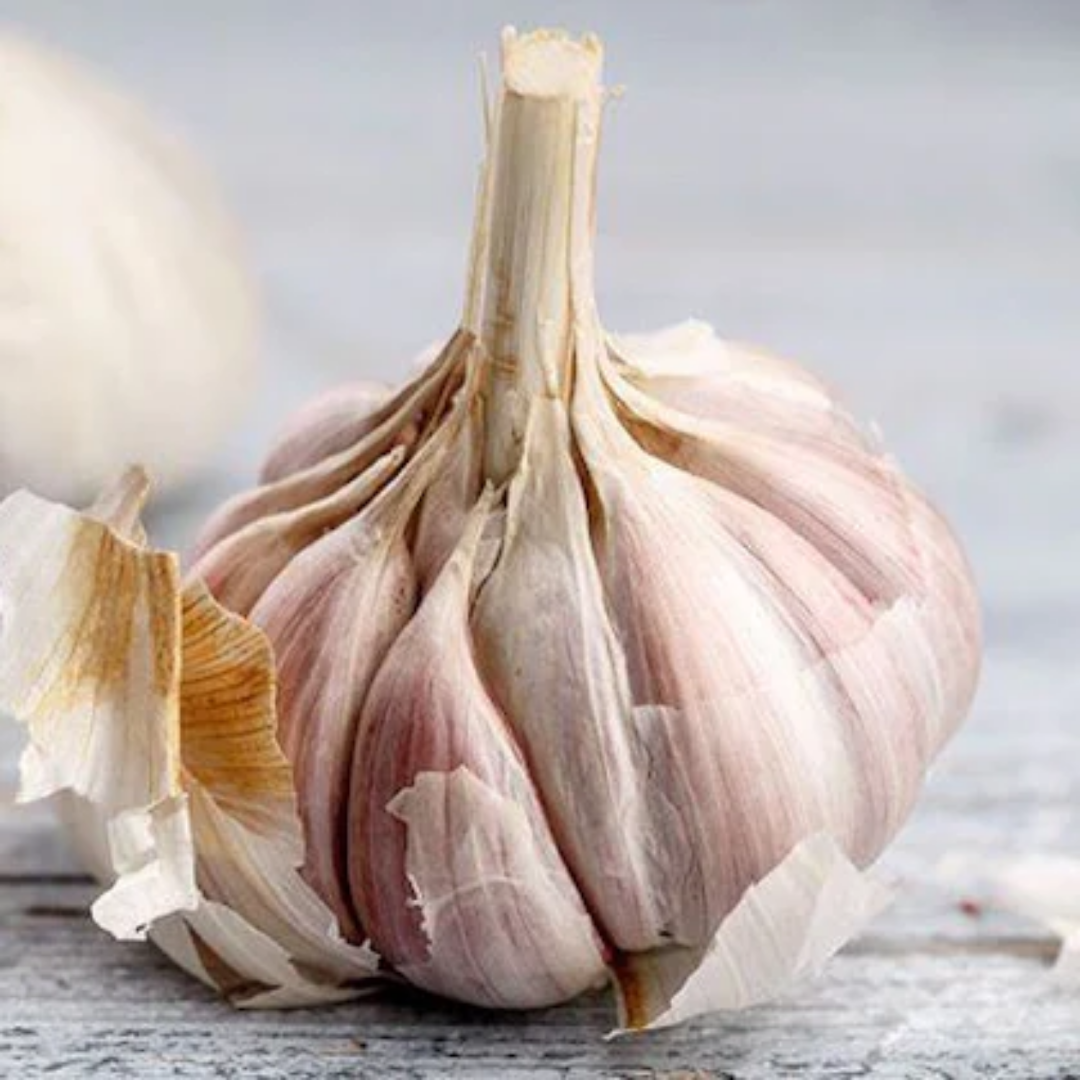 Ooty malai poondu / Ooty Hill Garlic